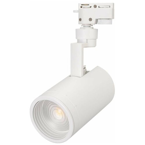  5119  LGD-ZEUS-2TR-R88-20W Day4000 (WH, 20-60 deg) (arlight, IP20 , 3 )