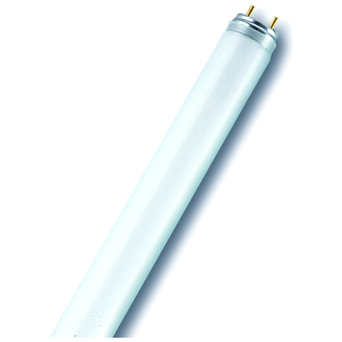 ������ 536� �������������� ����� Osram 4008321339713