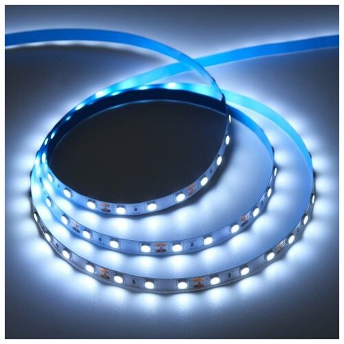  716   Ecola PRO 5 , IP20, SMD5050, 60 LED/, 14.4 /, 12 , 6000