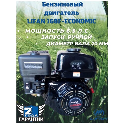  14448 Lifan  168F-2 Eco D20 00-00004822 .