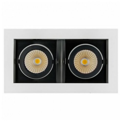  6890  CL-KARDAN-S180x102-2x9W Day (WH-BK, 38 deg) (Arlight, IP20 , 3 )