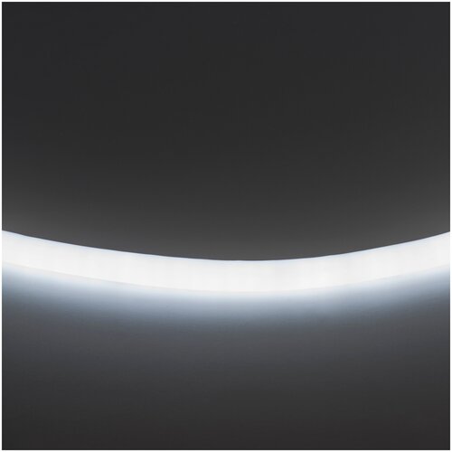 ������ 1119� ����� ������ �������� Lightstar 430204
