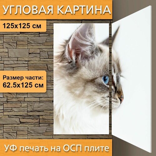 ������ 4960� ������� ��������� ������� 