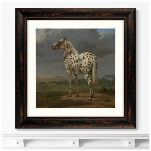  13799     The Piebald Horse, 1654.  : 60,560,5