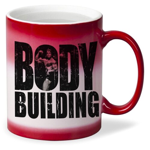  320   CoolPodarok Bodybuilding ()