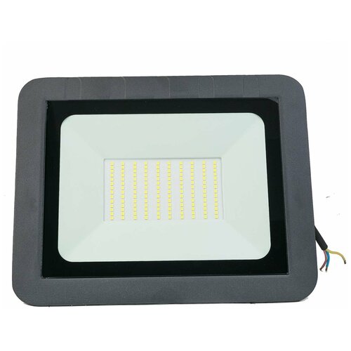  1712    LED FL 100W65 .