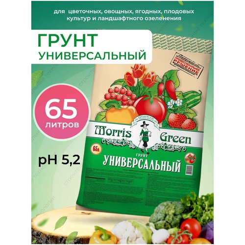 ������ 1955� ����� ������������� 65�