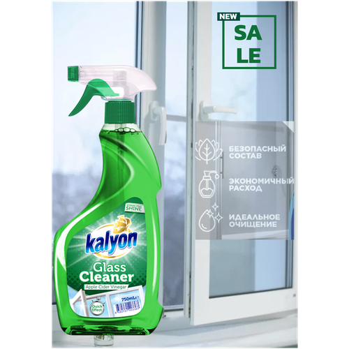  259         KALYON WINDOW CLEANER    750 