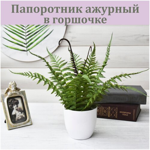 ������ 670� ���������� ������� � �������� / ������������� ����� � ����� / ����� ��� ������ ���������