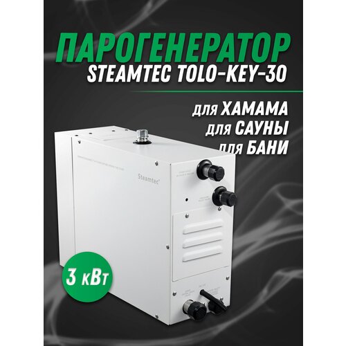  69800    Steamtec TOLO-30-KEY (3 ), 220