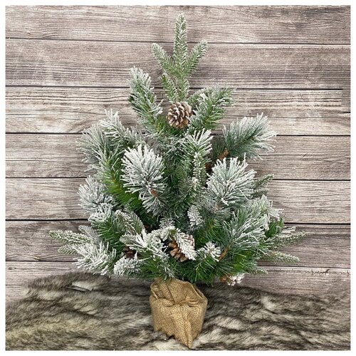 ������ 3577� Forest Market ���������� ���� Ice Queen ����������� � ������� � ������� 60 ��, �����+���+����� 578730