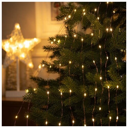 ������ 703� �������� �������� ����� 10 ����� �� 1 �, IP20, ������ ����, 100 LED, �������� ����� �����, 12 �