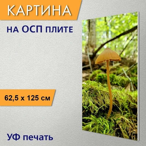 ������ 2960� ������������ ������� 