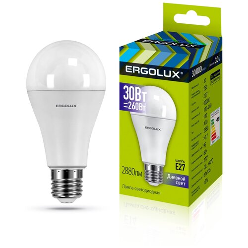 ������ 1453� (��.����� ������������ ��� 30�� E27 6500K 180-240�), ERGOLUX LED-A70-30W-E27-6K (5 ��.)