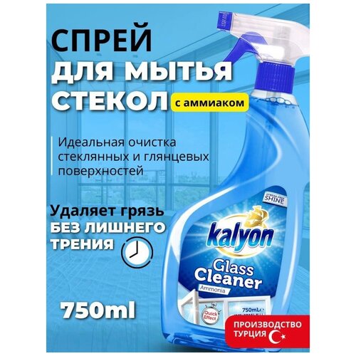  259         KALYON GLASS CLEANER   750 