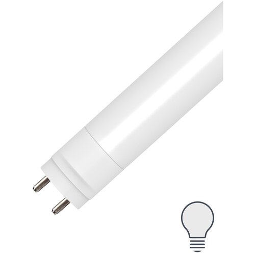 ������ 699� ����� ������������ Lexman T8 G13 � 22 �� ����������� ����� ����
