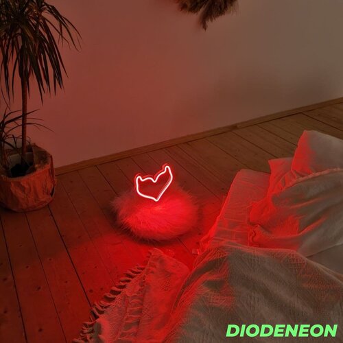  2400 DIODENEON /   