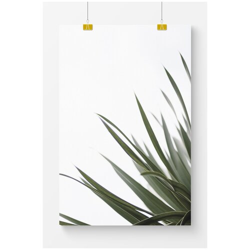 ������ 2699� ������ �� ����� ��� ��������� Postermarkt ������� ������ �� ����� ���� �2, ������ 70�100 ��, ������� ������� ��� ��������� � ������