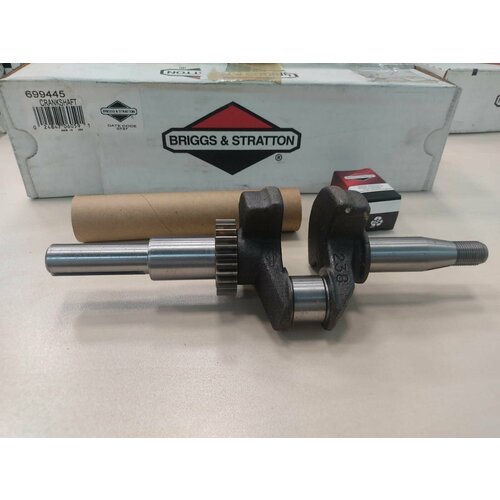  12000   126410 (693887) - ( 699445) BRIGGS&STRATTON