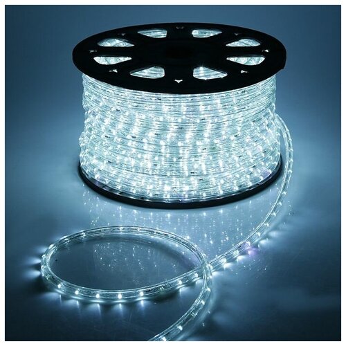  21912   Luazon Lighting 13 , IP65, 100 , 36 LED/, 220 , 2W, ,  