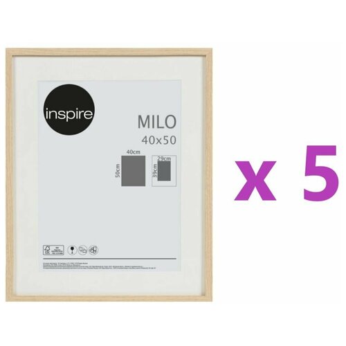  5380  Inspire Milo, 4050 ,  , 5 