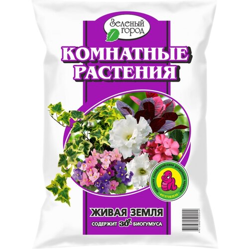 ������ 365� ���������� �� ������ ��������� ��� ��������� ��������, ������� �����, 10 � 7514574