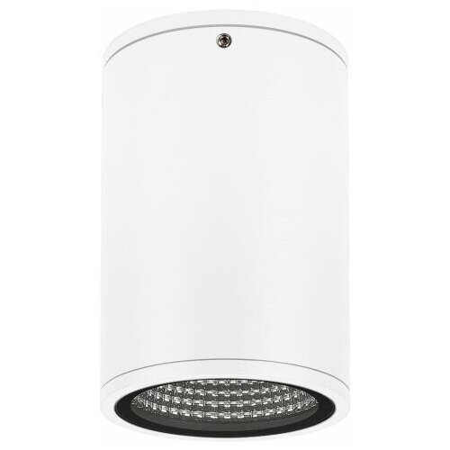  9844 Arlight  LGD-FORMA-SURFACE-R90-12W Day4000 (WH, 44 deg, 230V) (Arlight, IP54 ) 037259