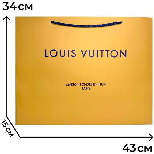  310    LOUIS VUITTON