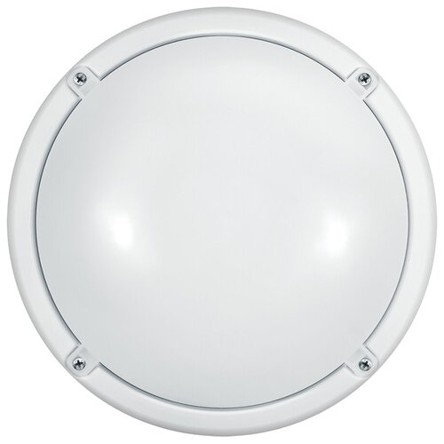  622   71 622 OBL-R1-7-4K-WH-IP65-LED-SNRV 7 4000 IP65 520   -.   . ( )  71622