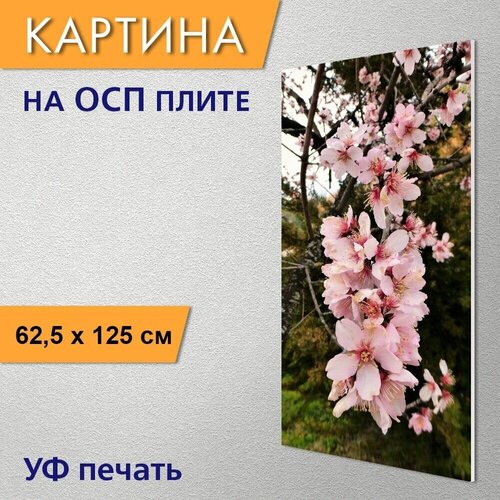 ������ 2960� ������������ ������� 