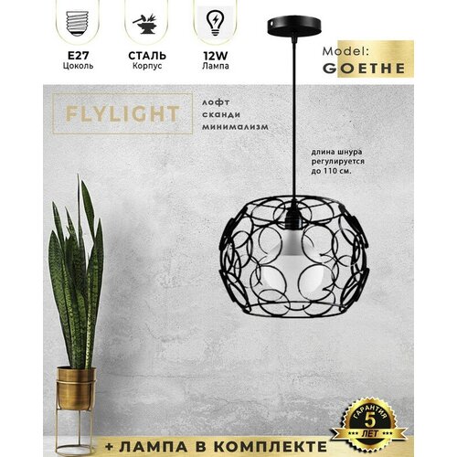  4978   Flylight GOETHE     /  12W - 4000K (),   LOFT