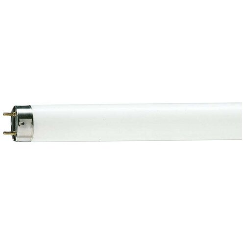 ������ 322� ����� �������������� TL-D 18W/33-640 18�� T8 4100� G13 PHILIPS 928048003351