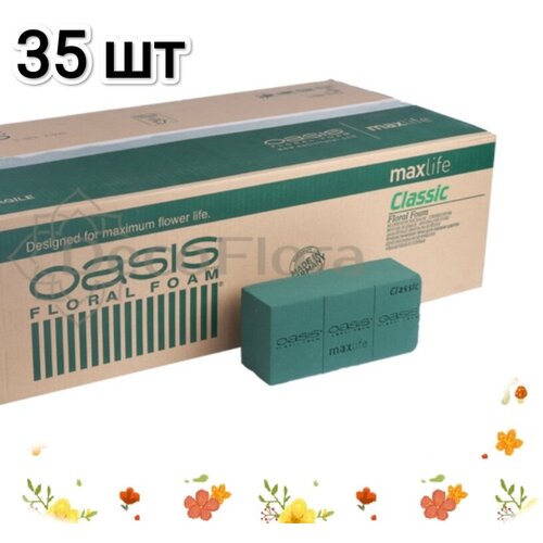  3502   35  Oasis