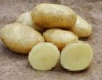 картошка Фелокс сорт