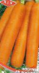 морковка Берски F1 гибрид