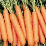 морковка Неликс F1 гибрид