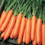 морковка Нерак F1 гибрид