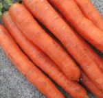 морковка Нанко F1  гибрид