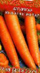 морковка Монастырская  сорт
