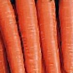 морковка Нантик F1 гибрид