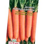 морковка Мармеладница сорт