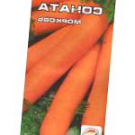 морковка Соната  сорт