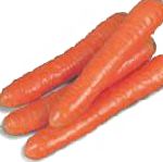 морковка Колтан F1 гибрид