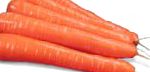 морковка Сиркана F1 гибрид