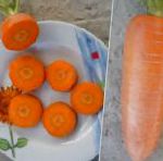 морковка Геркулес F1 гибрид