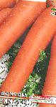морковка Берликум Роял сорт
