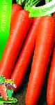 морковка НИИОХ 336 сорт