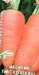 морковка Шантенэ 2461(сибирская серия) сорт