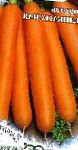 морковка Деликатесная  сорт