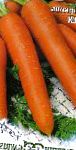 морковка Фея  сорт